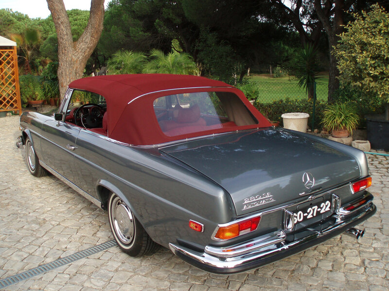 Gray Convertible Car — Serene, Afternoon, Photograph, Trees