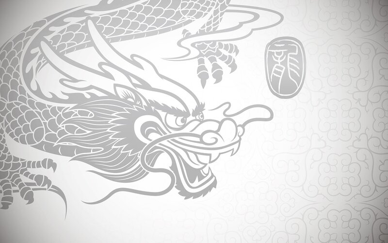 gray dragon illustration