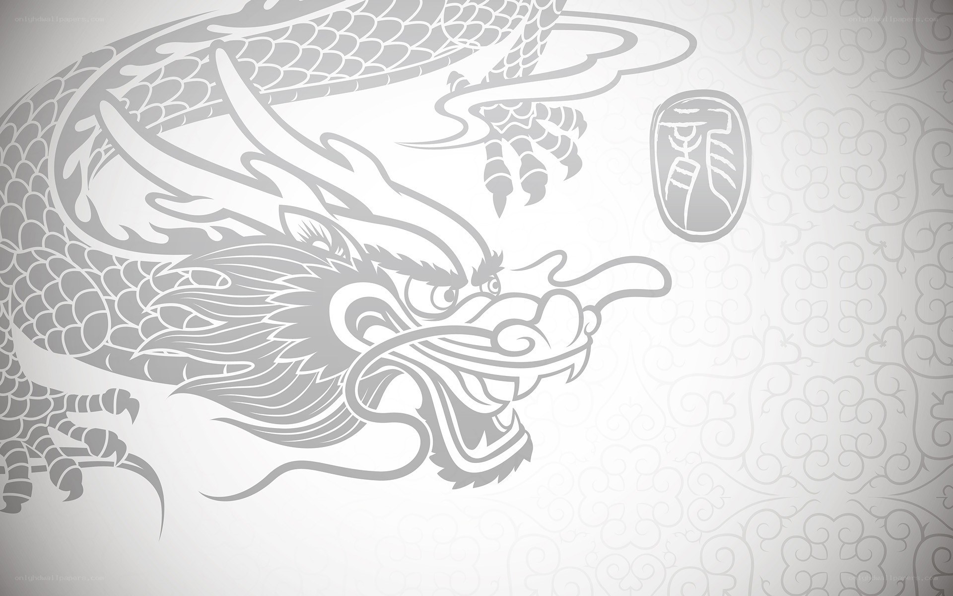 gray dragon illustration