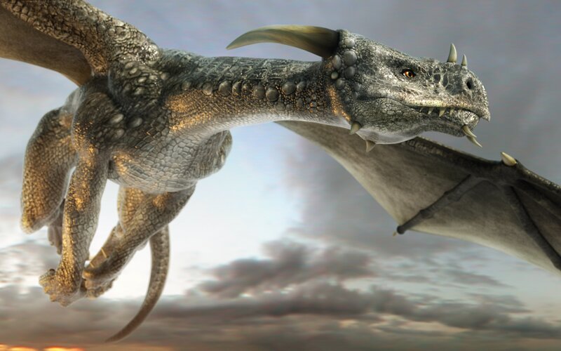 Gray Dragon in Flight — Dramatic