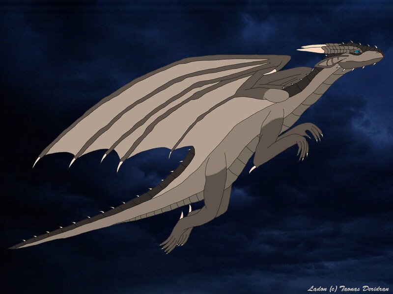 gray dragon in flight
