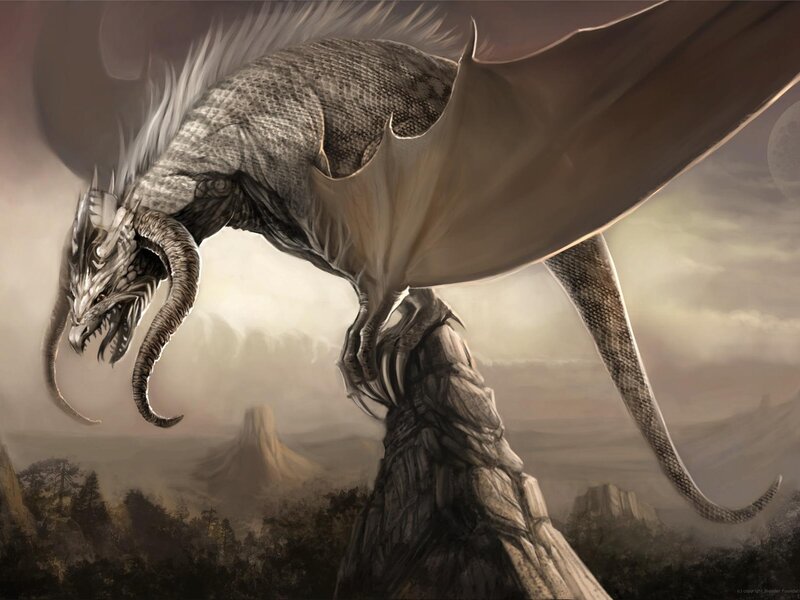 Gray Dragon on Rock