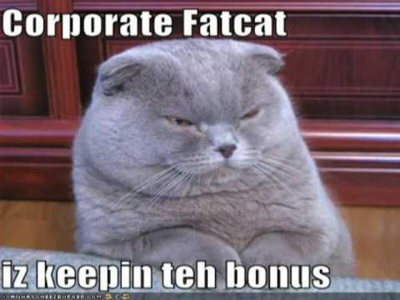 Gray Fat Cat