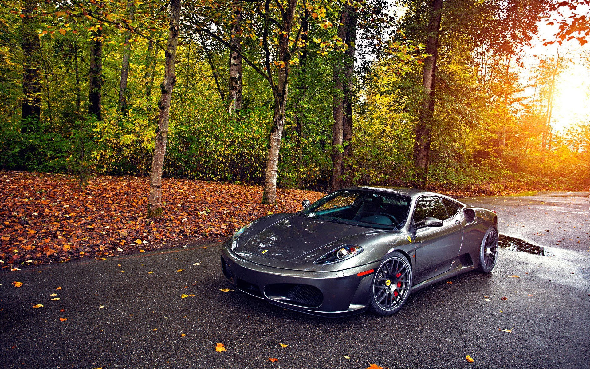 Gray Ferrari in autumn forest