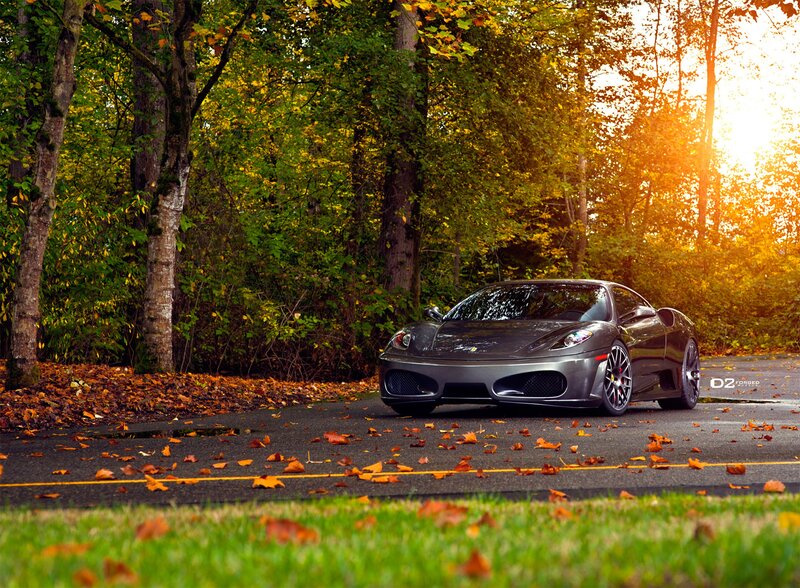 Gray Ferrari in Forest — Green