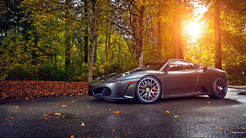 Gray Ferrari in Forest — Serene, Autumn, Photograph, Car