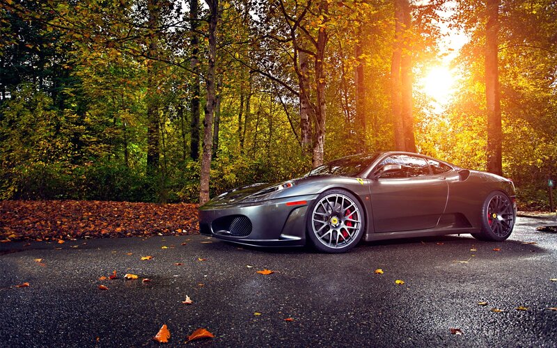 Gray Ferrari in Forest — Serene, Autumn, Photograph