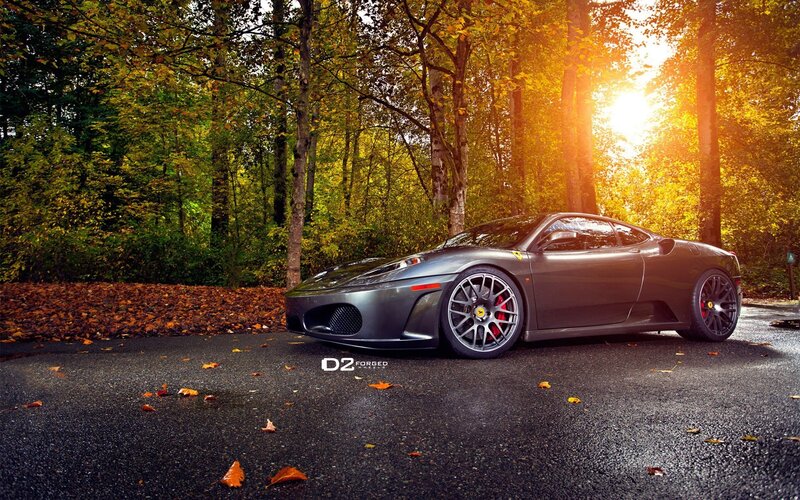 Gray Ferrari in Forest — Serene, Autumn