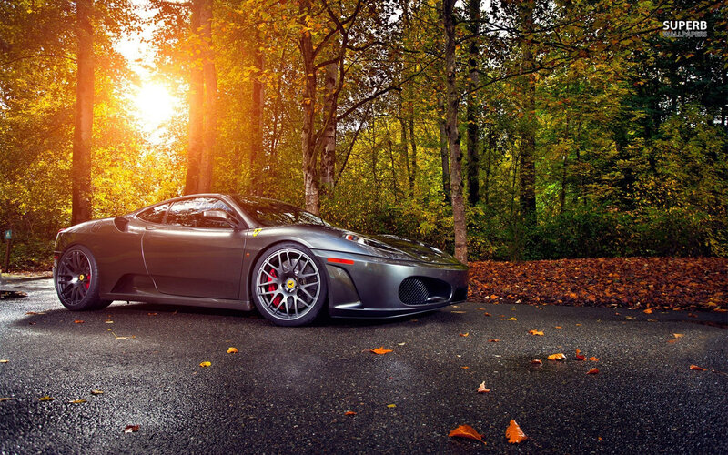 Gray Ferrari in Forest — Serene