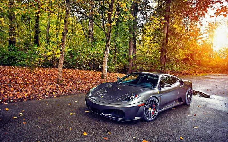 Gray Ferrari in Forest