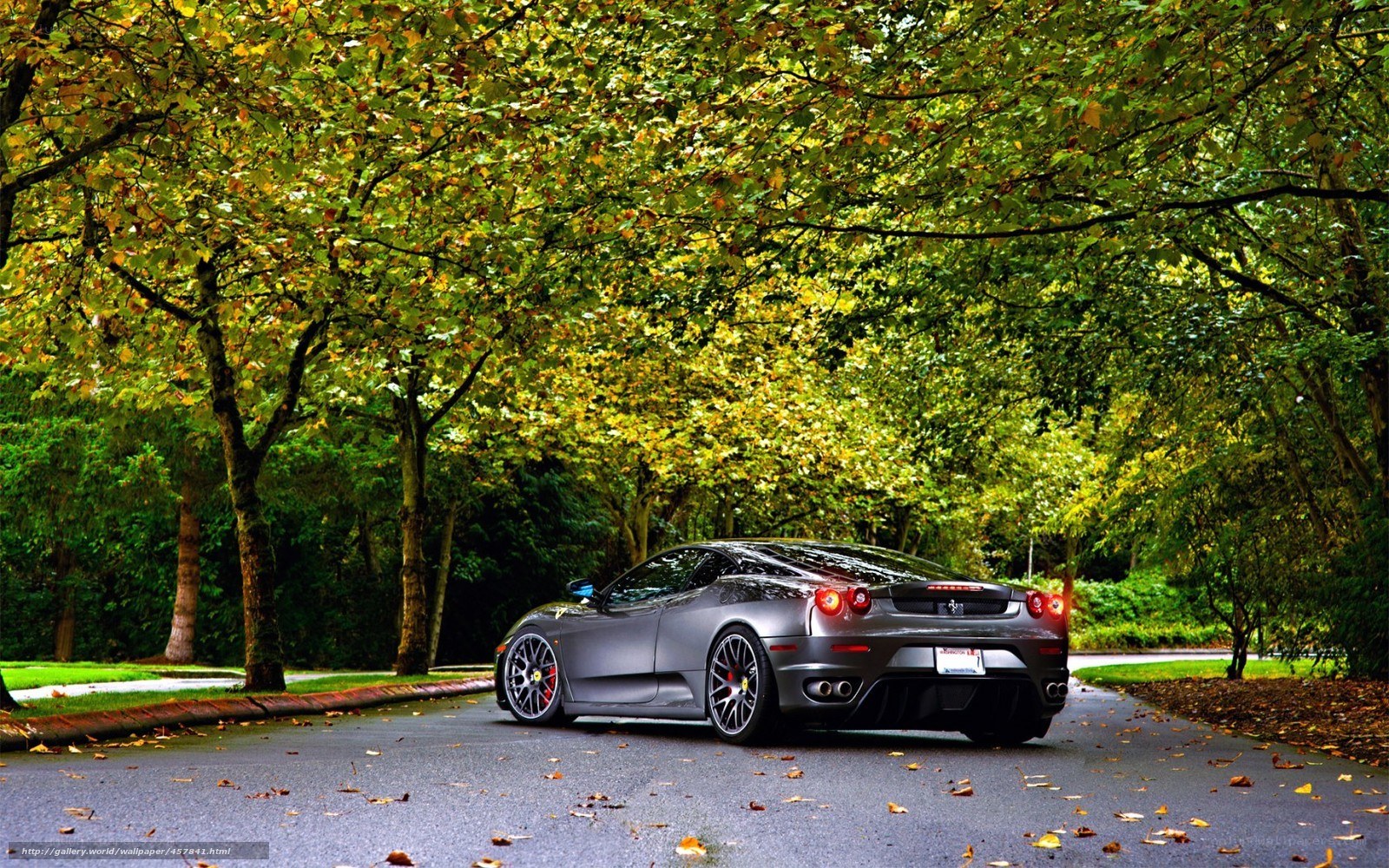 Gray Ferrari on a tree-lined road