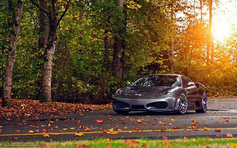 Gray Ferrari on Road — Serene