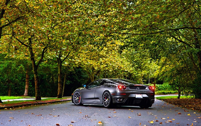gray ferrari on tree-lined road