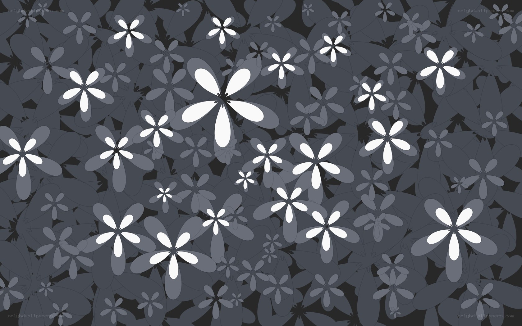 gray floral pattern background