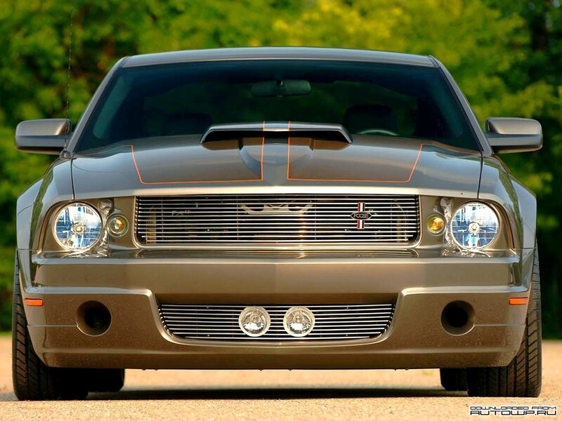 Gray Ford Mustang — Calm