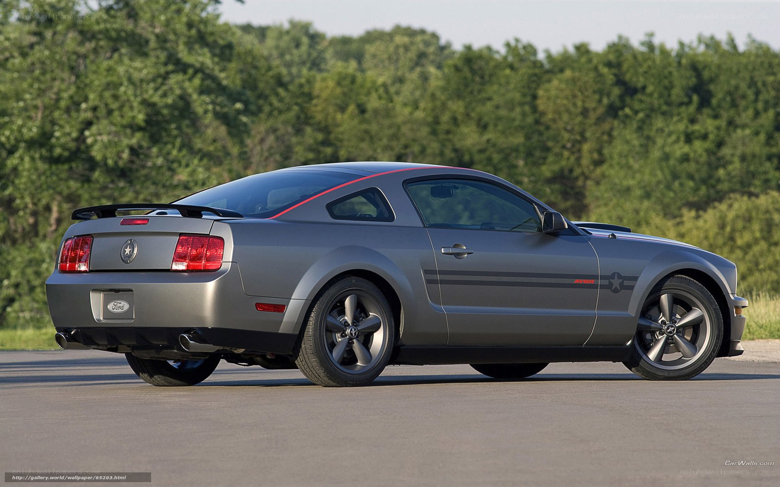 Gray Ford Mustang Cobra
