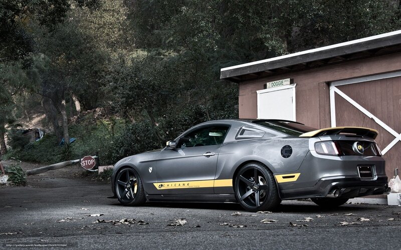 Gray Ford Mustang — Dramatic, Afternoon, Photograph