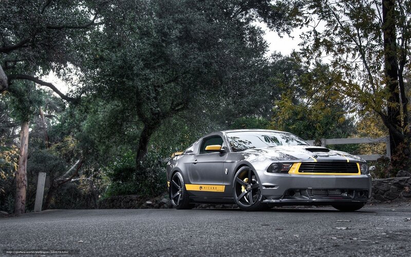 Gray Ford Mustang — Dramatic, Autumn