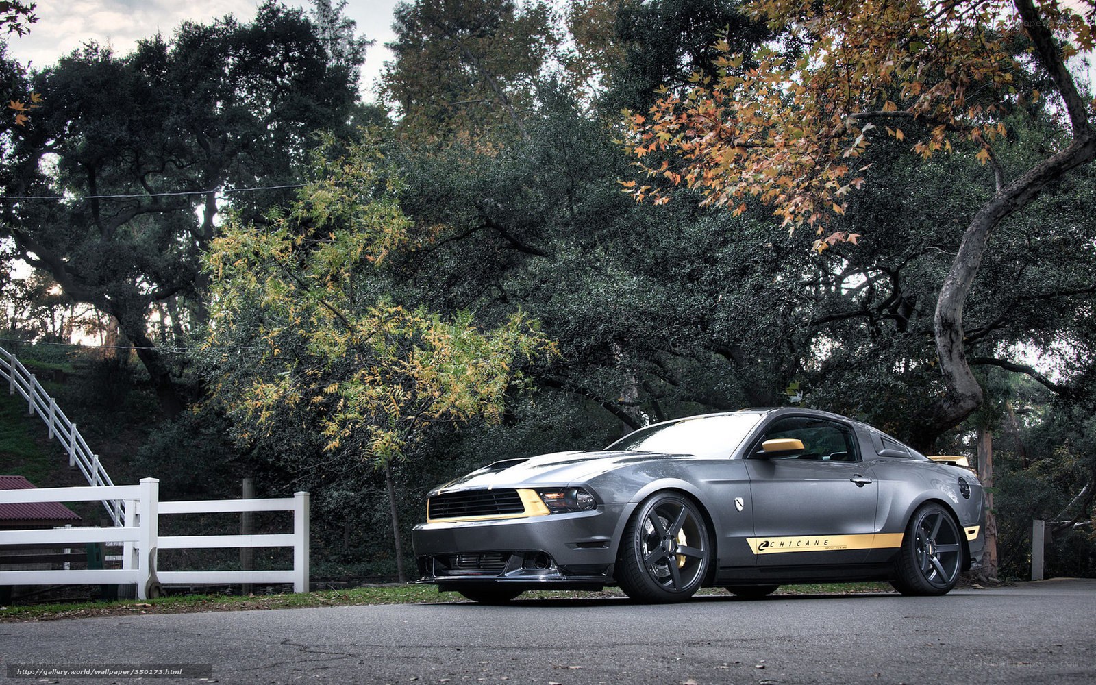 Gray Ford Mustang in a park