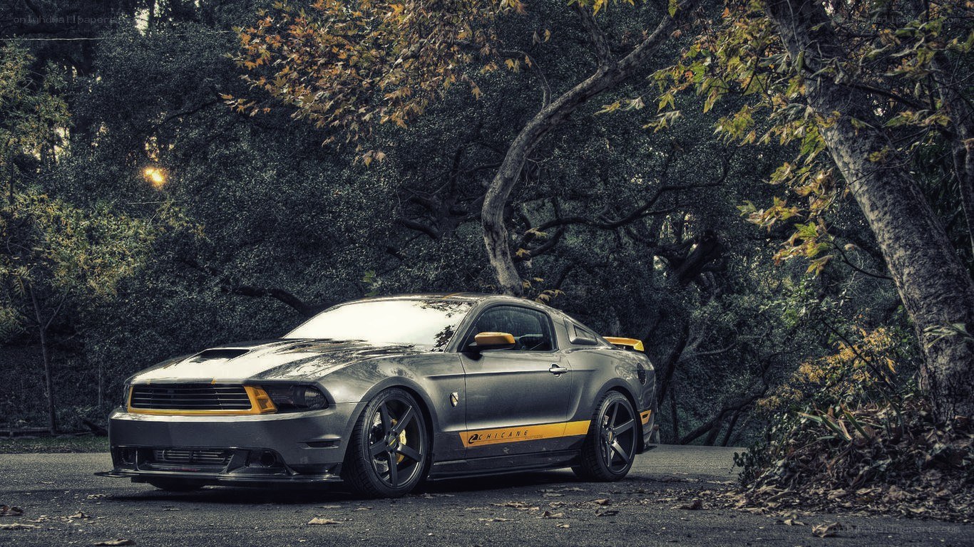 Gray Ford Mustang in forest