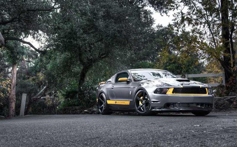 Gray Ford Mustang on a forest road