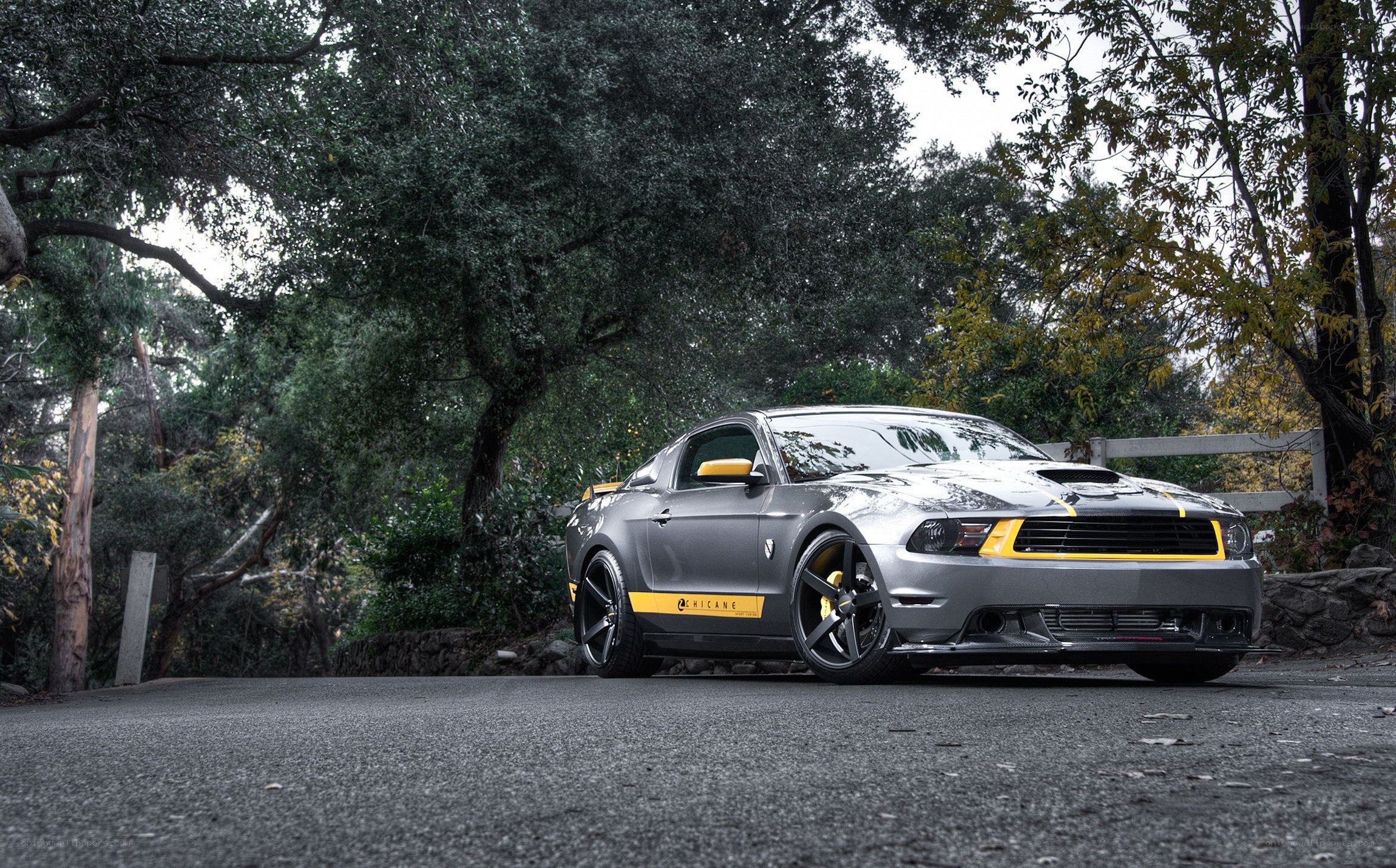 Gray Ford Mustang on a forest road