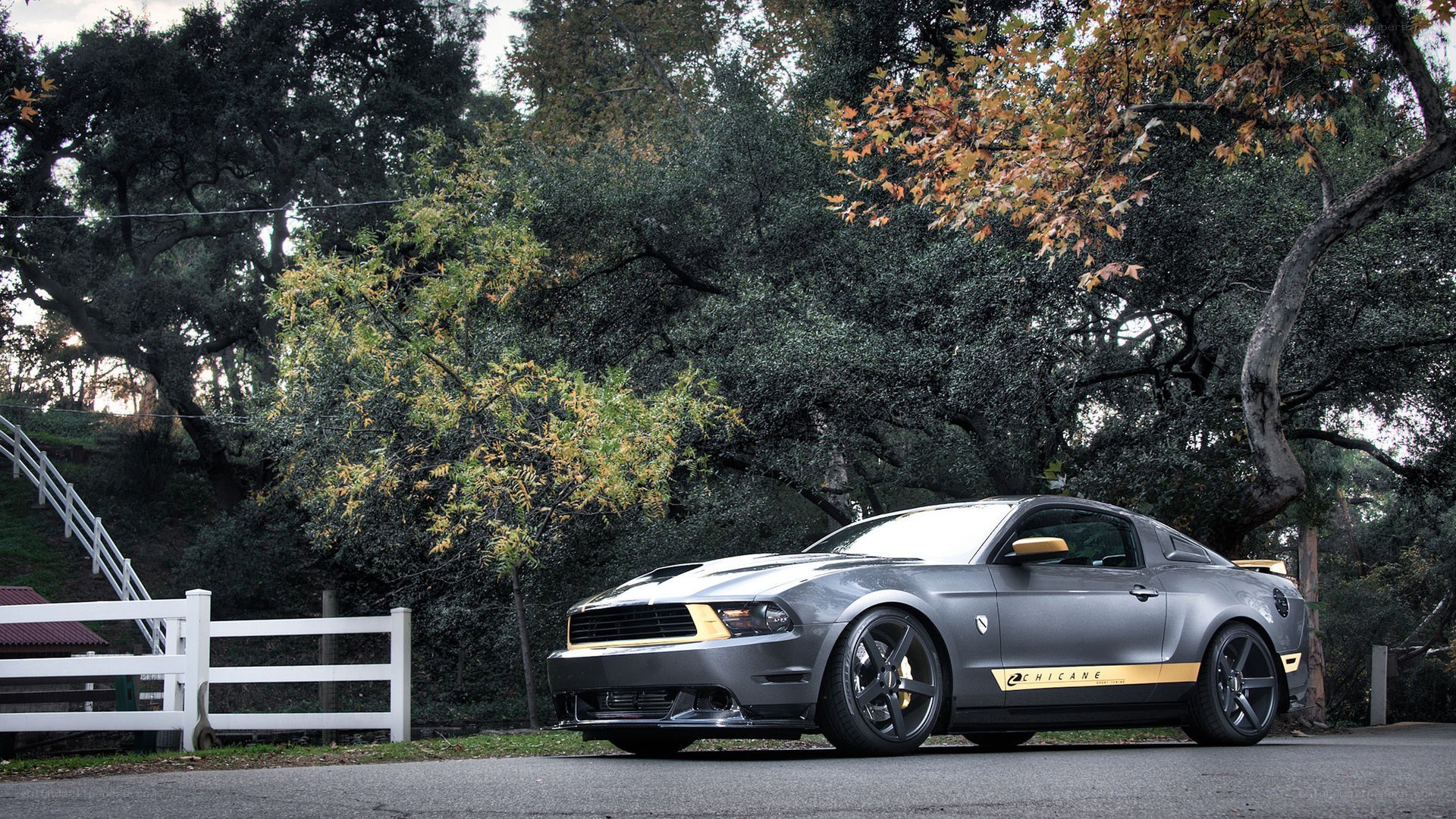 Gray Ford Mustang on a road