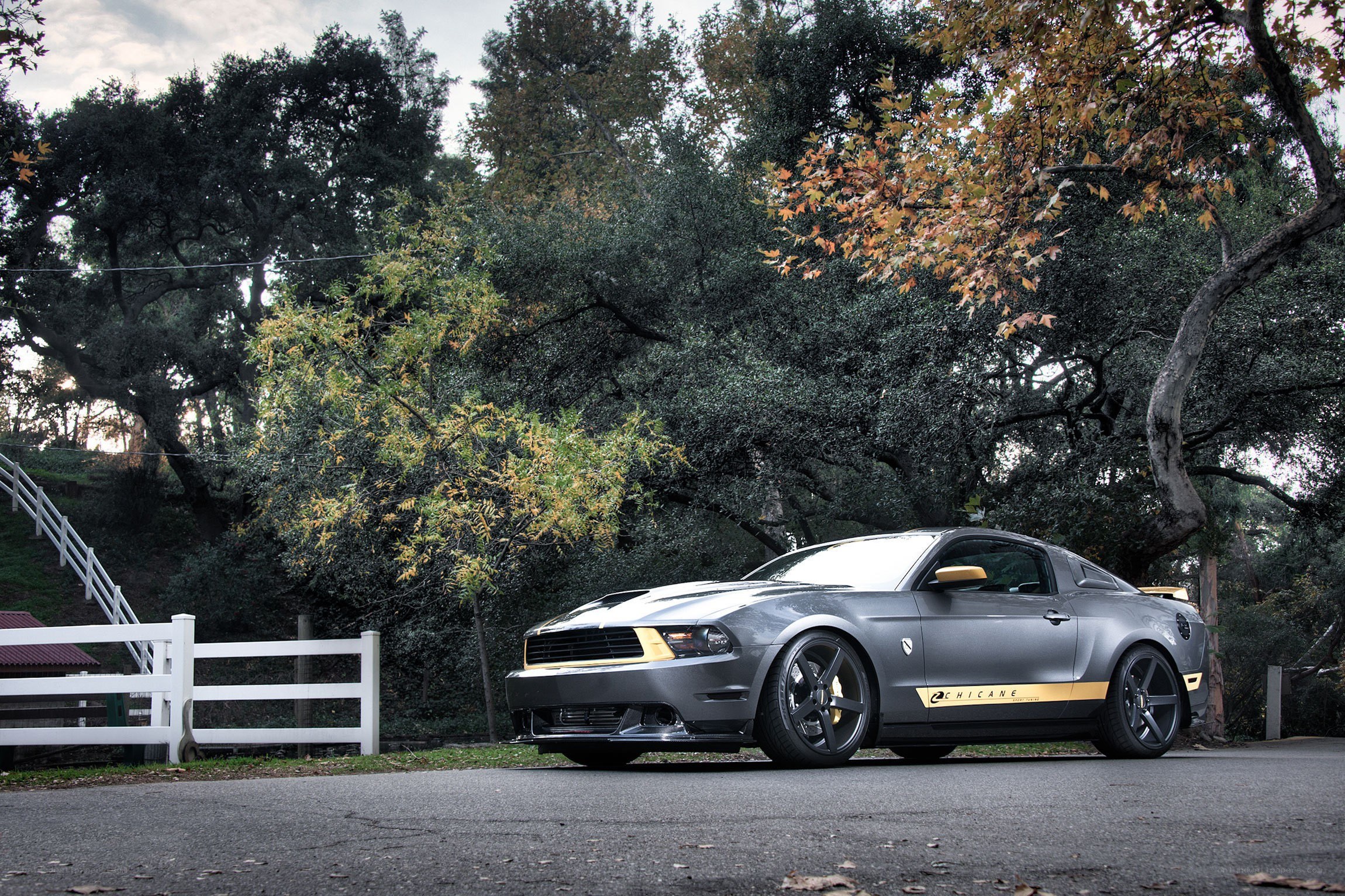 Gray Ford Mustang on a road
