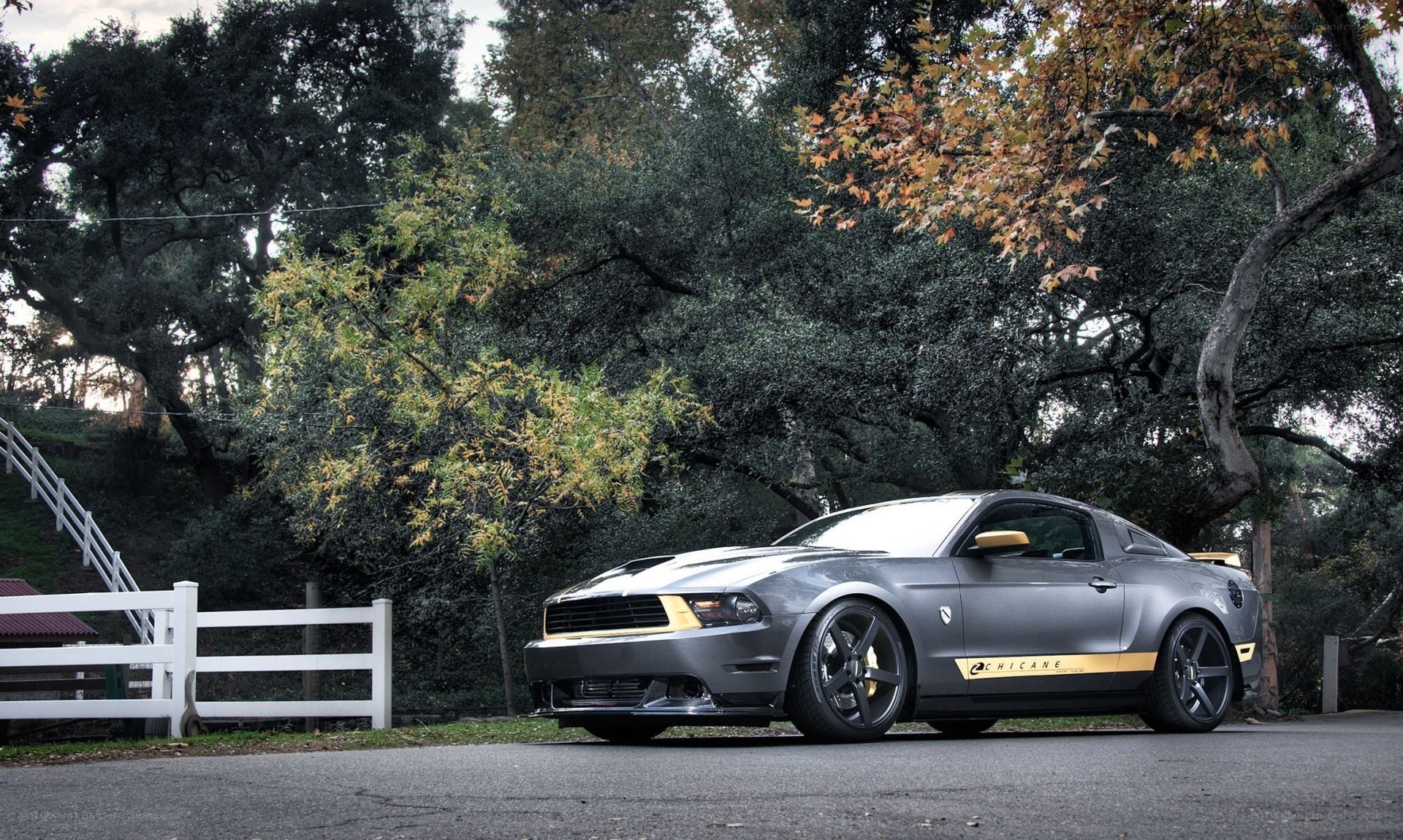 Gray Ford Mustang on a road
