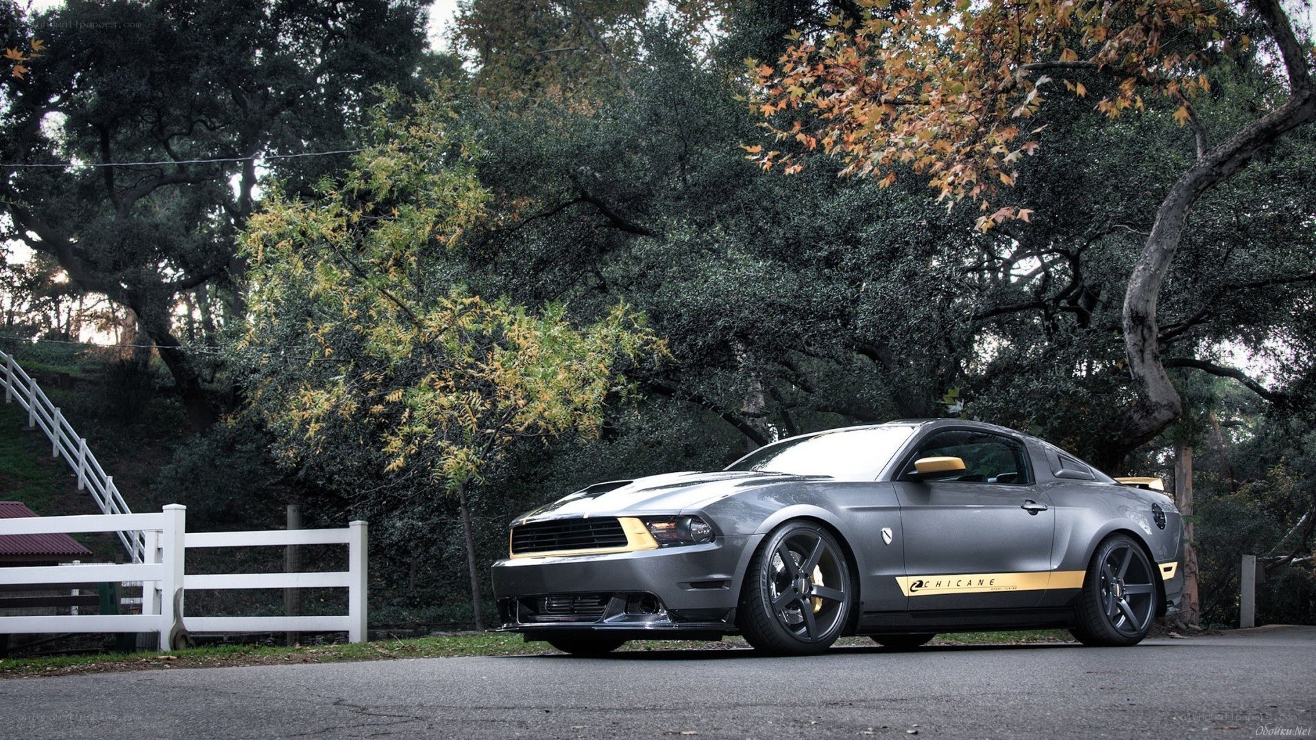 Gray Ford Mustang on a road