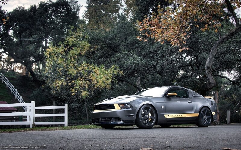 Gray Ford Mustang on a road
