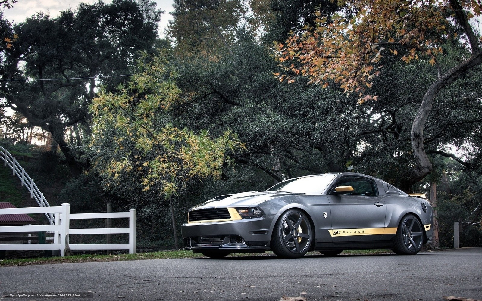 Gray Ford Mustang on a road
