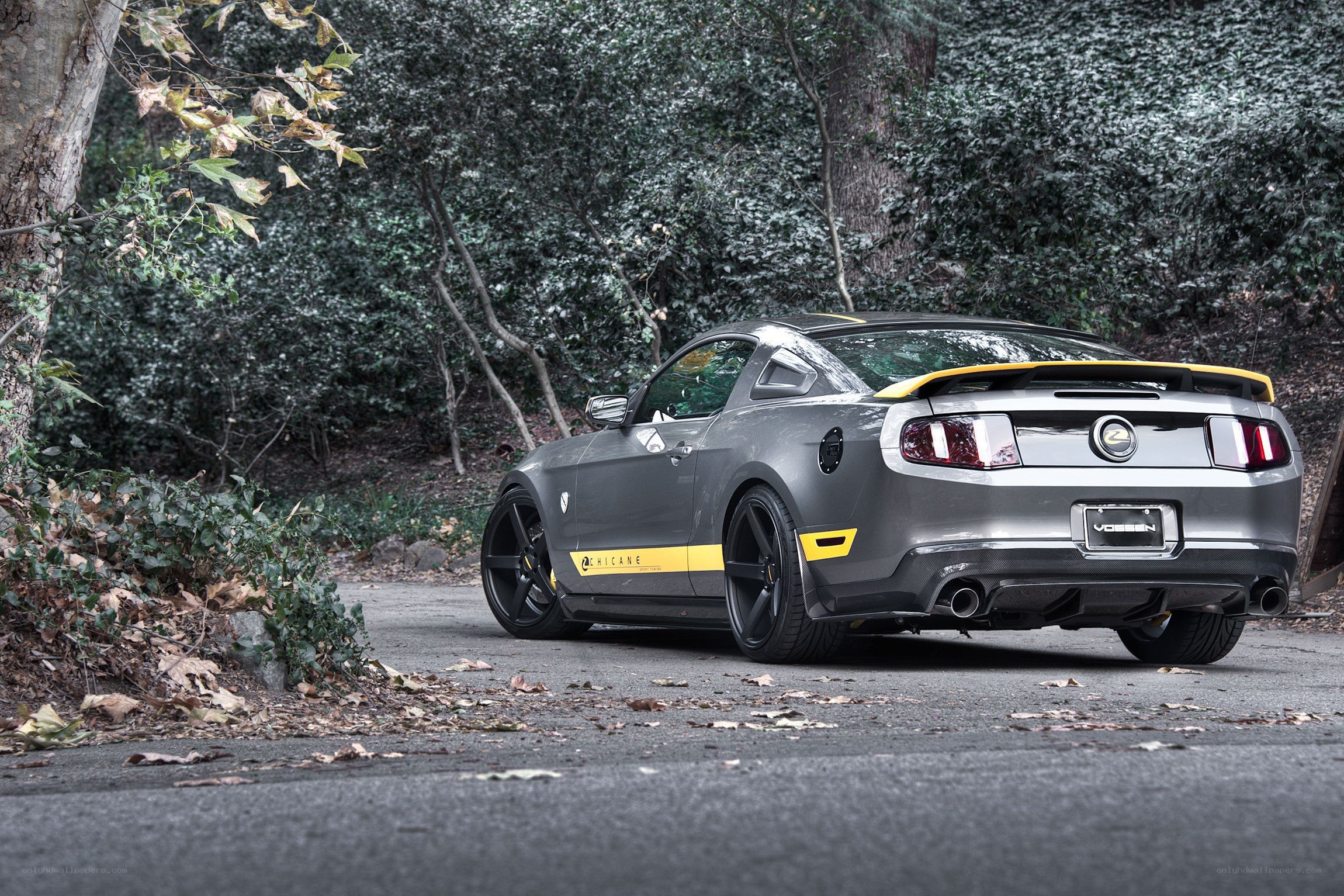 gray ford mustang on forest road