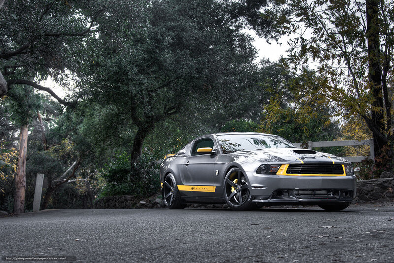 Gray Ford Mustang — Serene, Afternoon