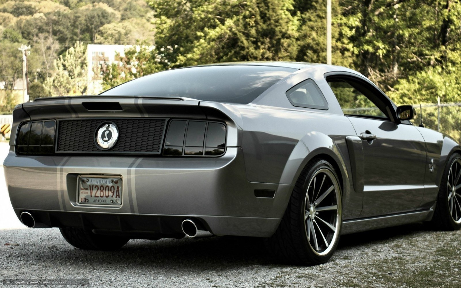 Gray Ford Mustang Shelby