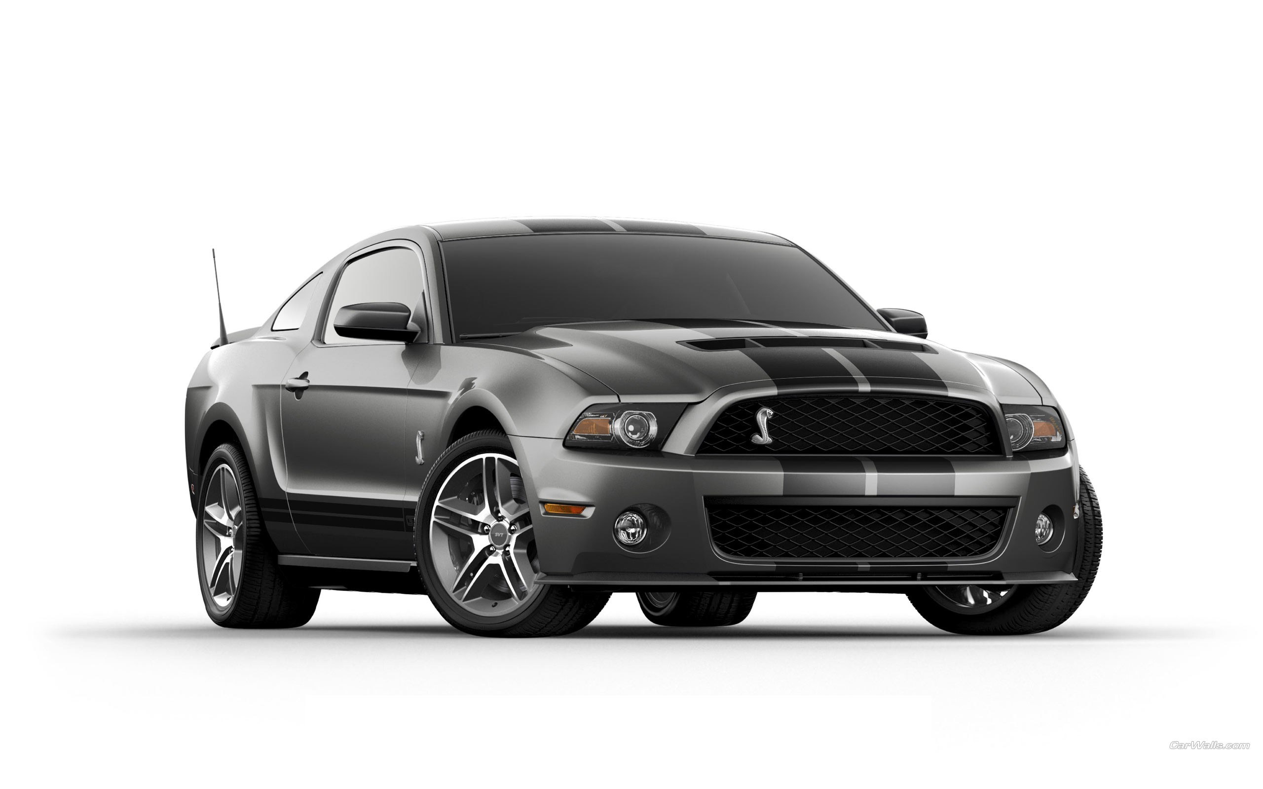 gray ford shelby mustang