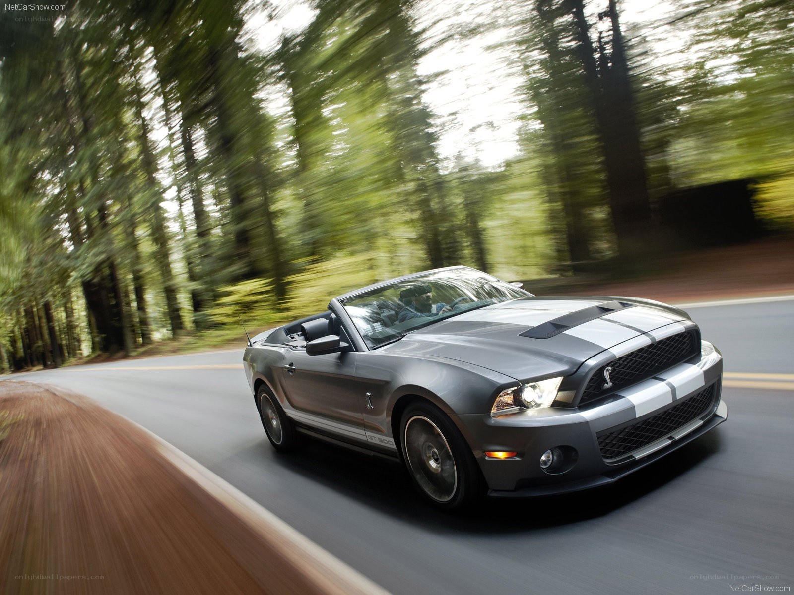 gray ford shelby mustang convertible