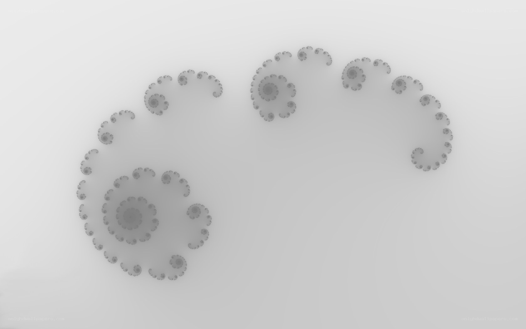 gray fractal spirals