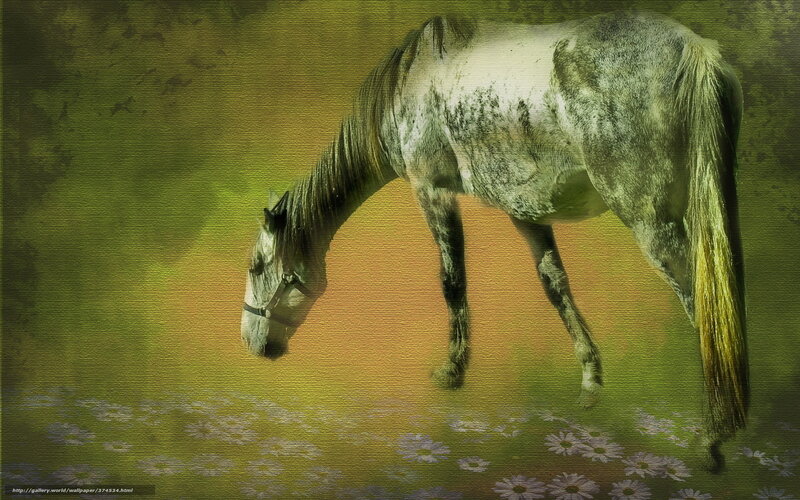 Gray Horse Grazing — Green, Serene, Afternoon