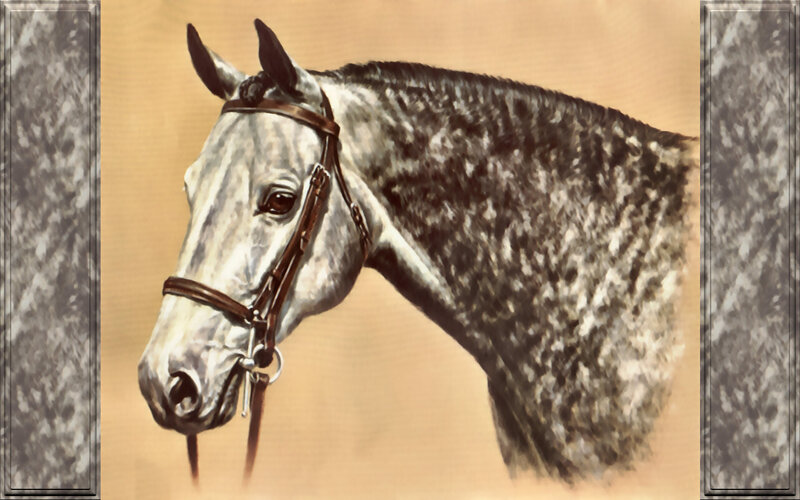 Gray Horse Head — Calm, Painting