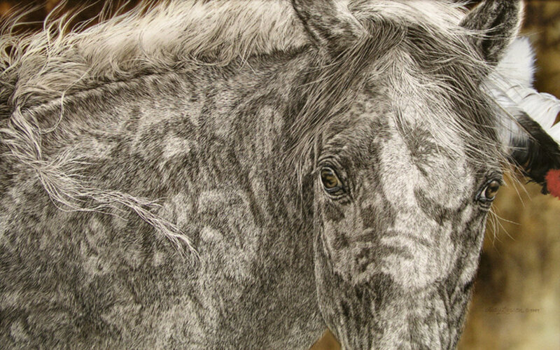 Gray Horse Head — Calm, Photograph, Feather