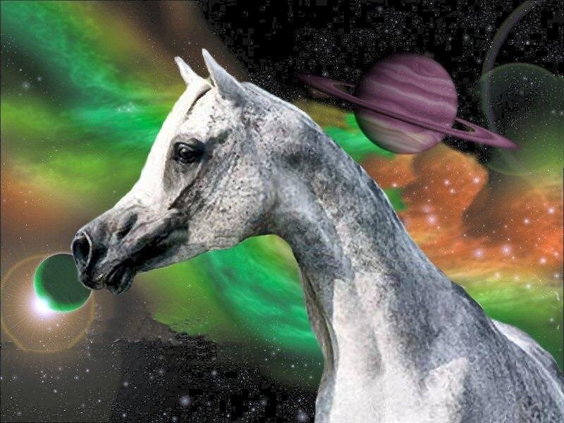 Gray Horse Head — Green