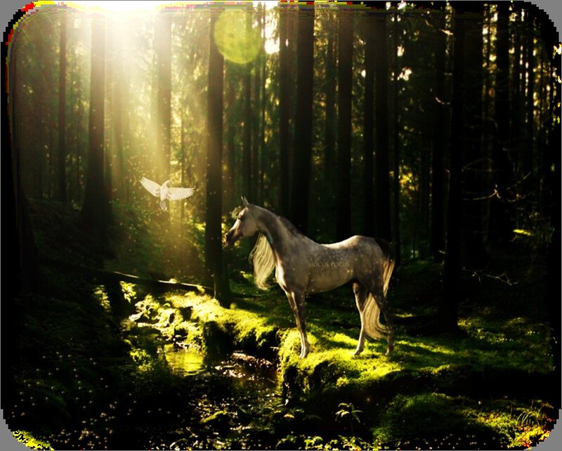 Gray Horse in Forest — Green