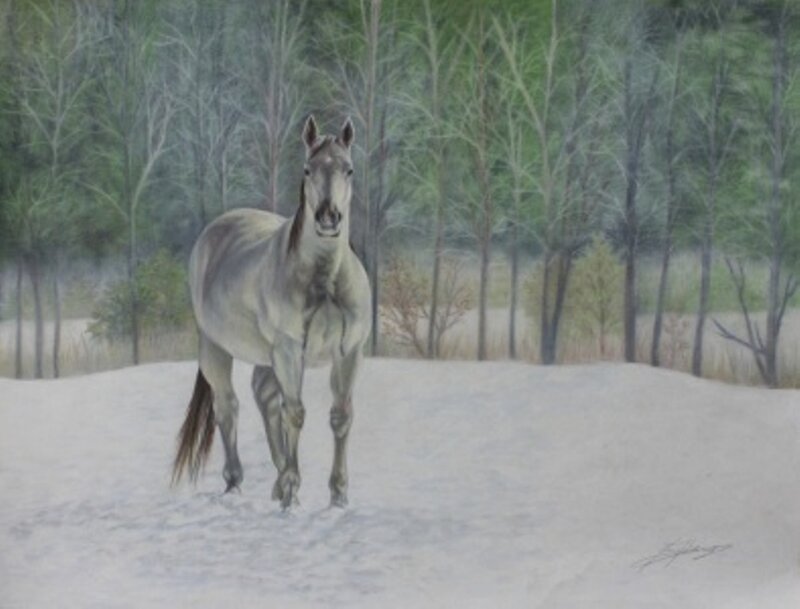 Gray Horse in Snow — White