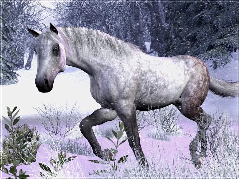 gray horse in snowy forest