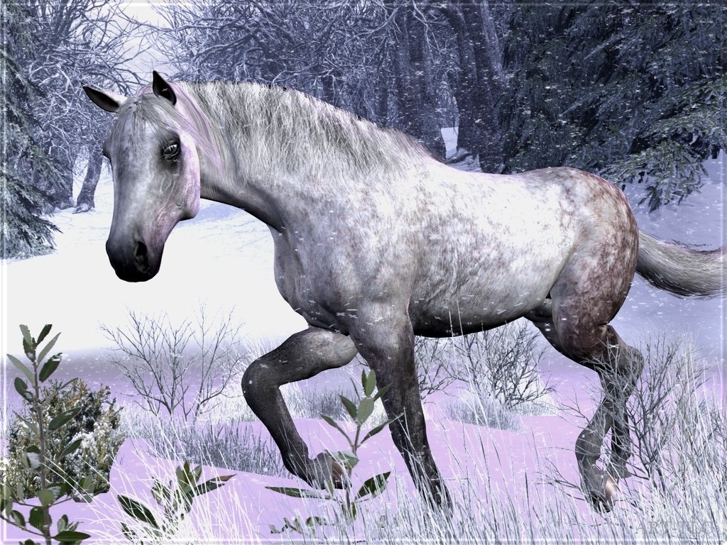 gray horse in snowy forest