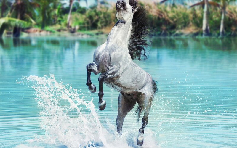 Gray Horse Rearing — Blue