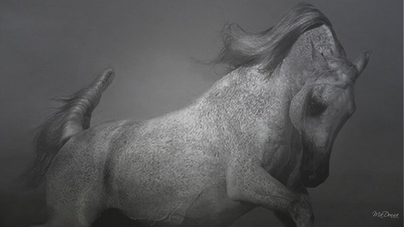 Gray Horse Running — Dynamic, Illustration