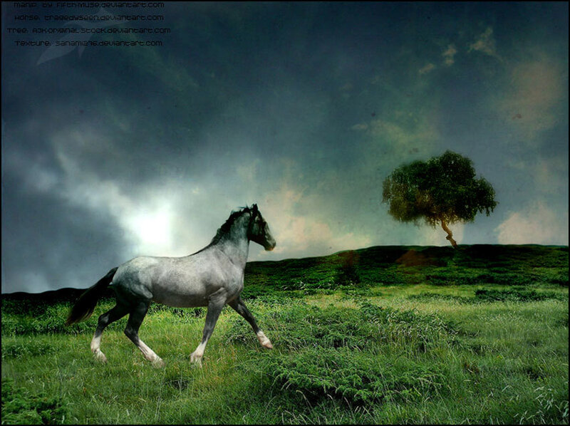 Gray Horse Running — Green, Dramatic