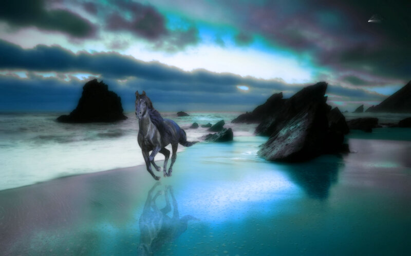 Gray Horse Running on Beach